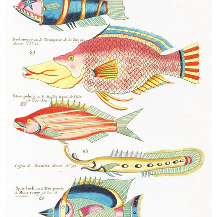 Louis Renard - Poissons Plate 60 Poster