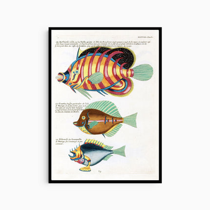 Louis Renard - Poissons Plate 82 Poster