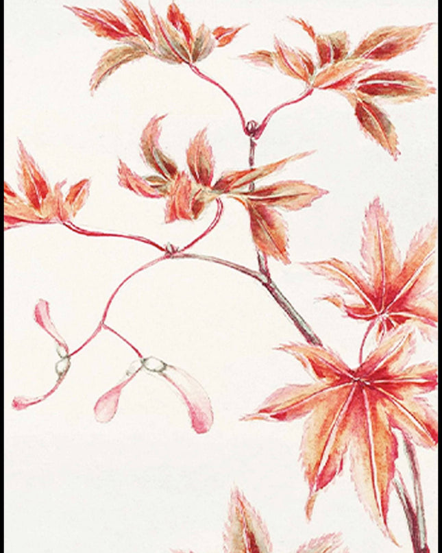 Megata Morikaga - Branch of Momiji Maple Tree