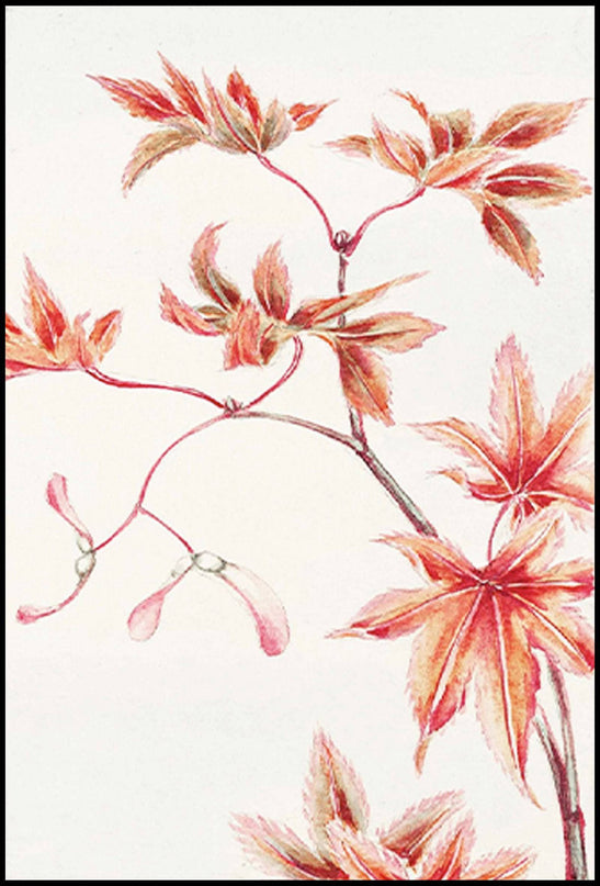Megata Morikaga - Branch of Momiji Maple Tree