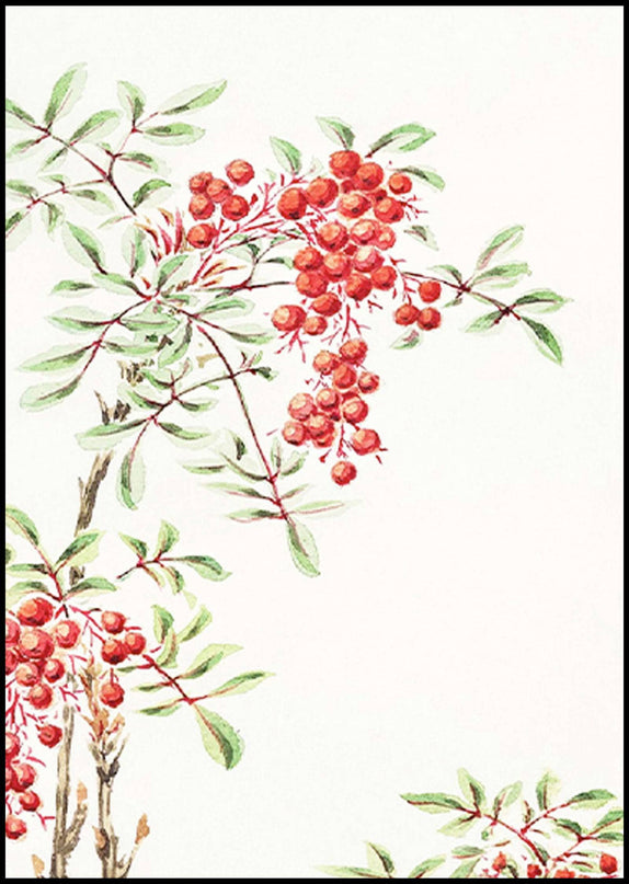 Megata Morikaga - Nandina Bush with Berries