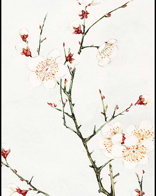 Megata Morikaga - Plum Branches with Blossoms