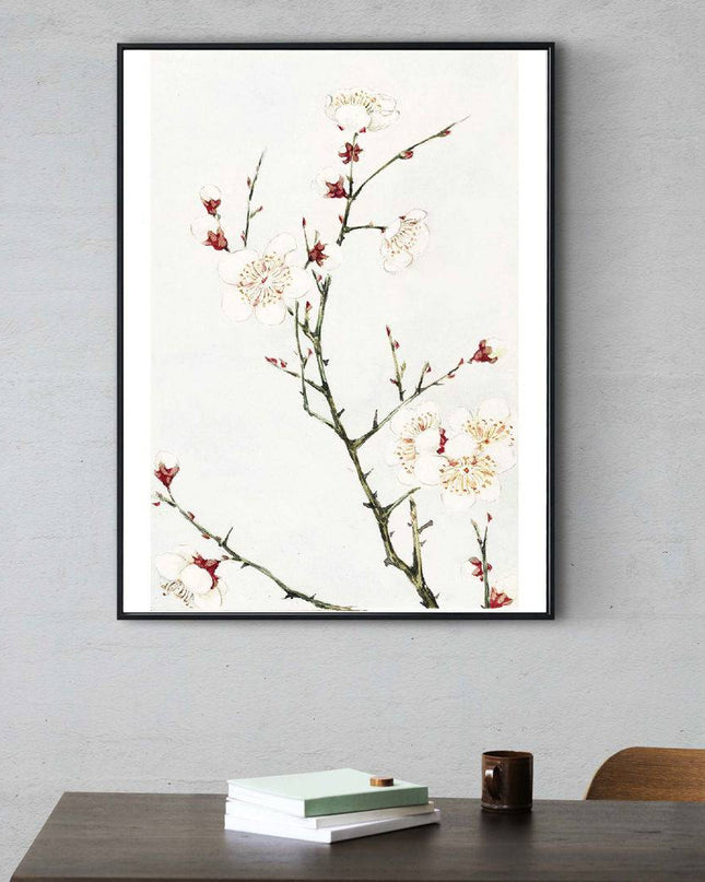 Megata Morikaga - Plum Branches with Blossoms
