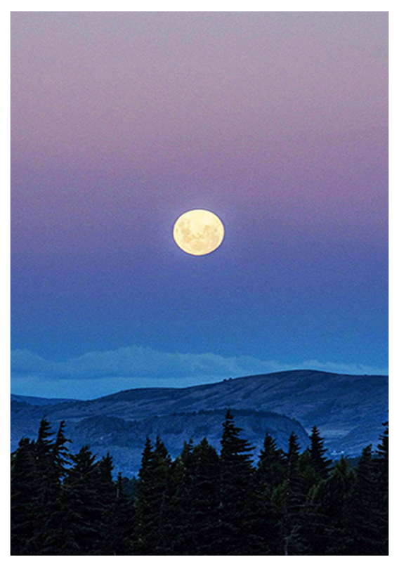 Moon On The Horizon Poster
