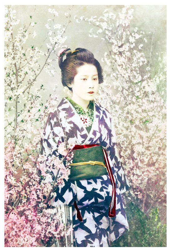 Ogawa Kazumasa - Geisha and Cherry Blossom