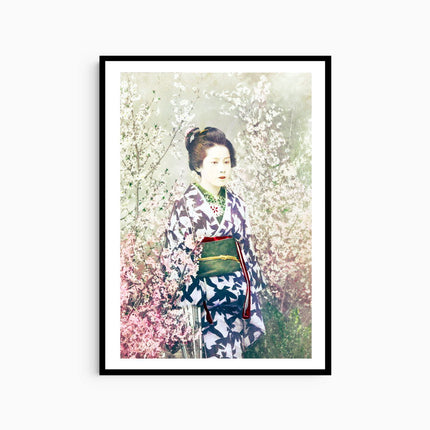 Ogawa Kazumasa - Geisha and Cherry Blossom