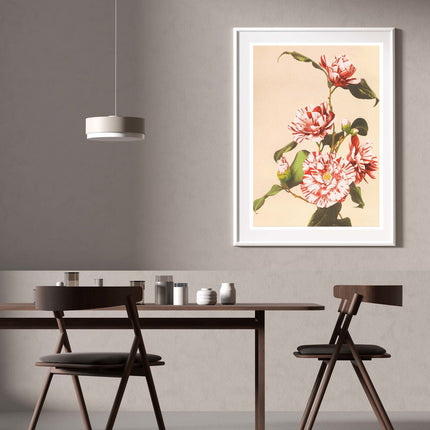 Ogawa Kazumasa - Striped Camellias
