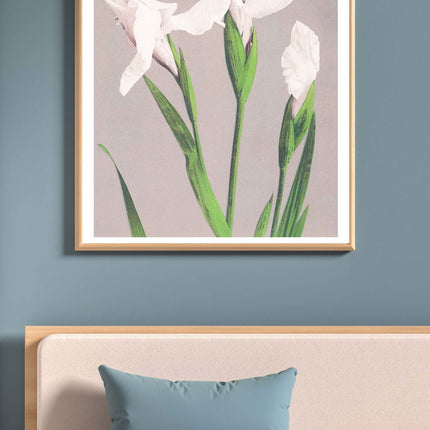 Ogawa Kazumasa - White Irises