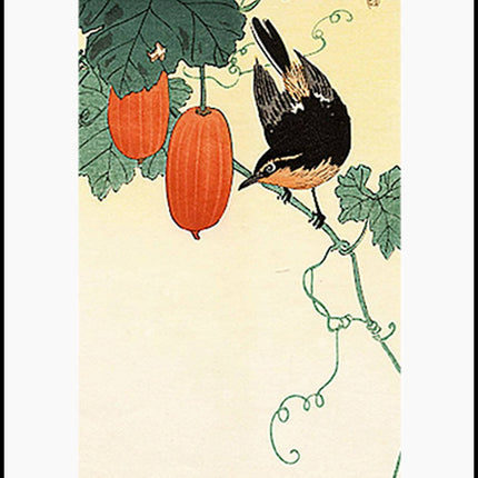 Ohara Koson - A Flycatcher with Cucumber Bush Poster