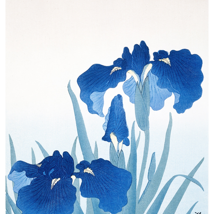 Ohara Koson - Blue Irises