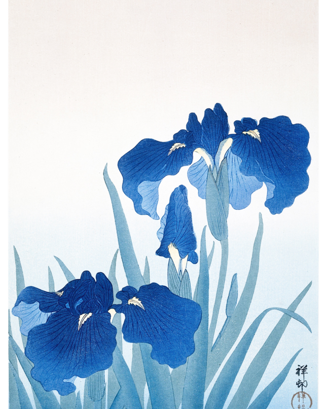 Ohara Koson - Blue Irises