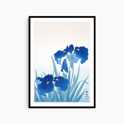 Ohara Koson - Blue Irises