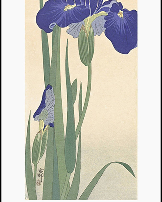 Ohara Koson - Blue Irises Poster