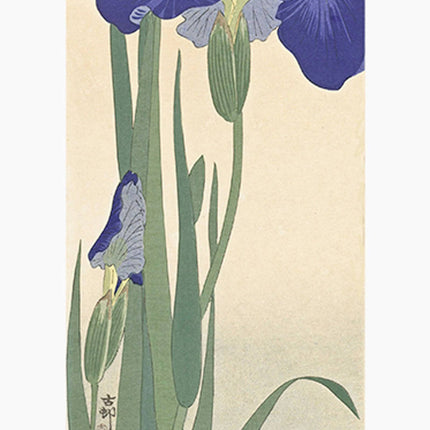 Ohara Koson - Blue Irises Poster