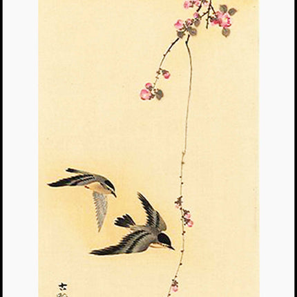 Ohara Koson - Cherry Blossom with Birds Poster