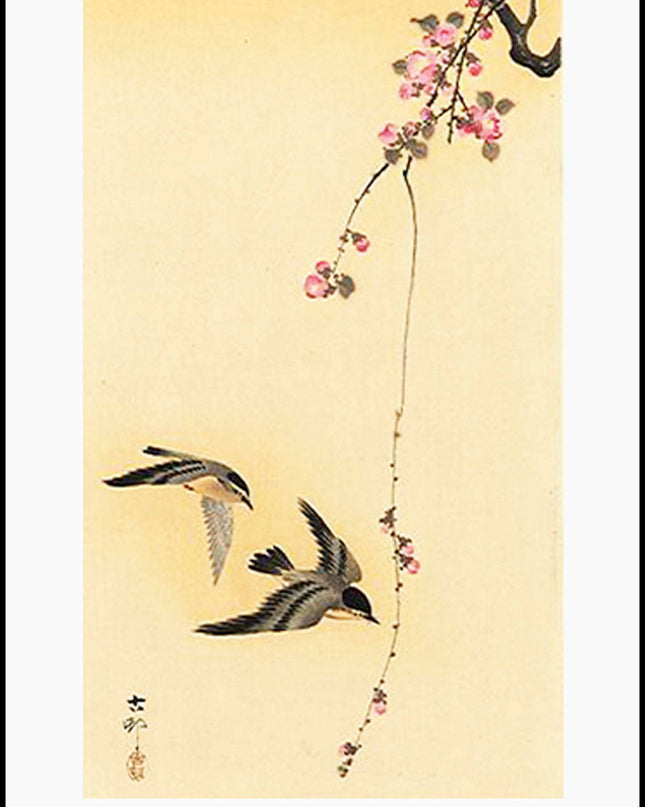 Ohara Koson - Cherry Blossom with Birds Poster