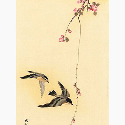 Ohara Koson - Cherry Blossom with Birds Poster
