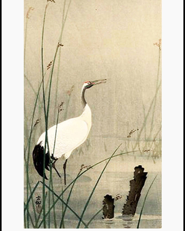 Ohara Koson - Crane in Small Water Poster