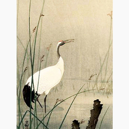 Ohara Koson - Crane in Small Water Poster