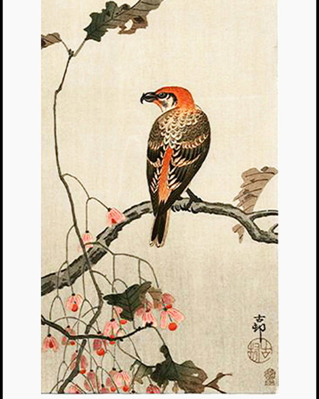 Ohara Koson - Crossbill Poster