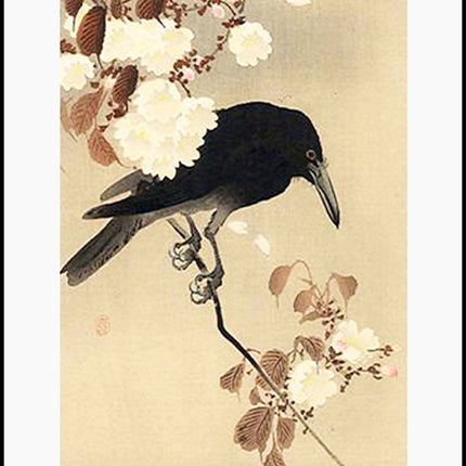 Ohara Koson - Crow on a Cherry Branch Poster