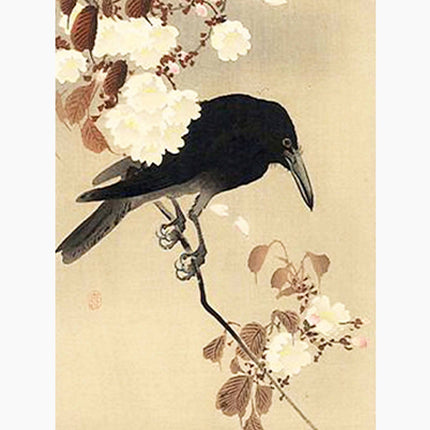 Ohara Koson - Crow on a Cherry Branch Poster