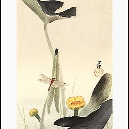 Ohara Koson - Dragonfly and Lotus Poster