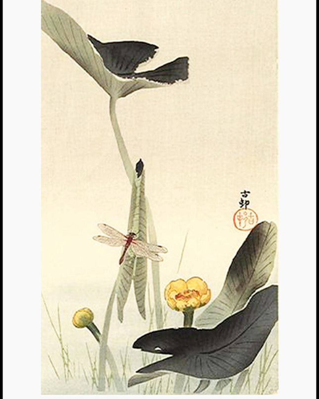 Ohara Koson - Dragonfly and Lotus Poster