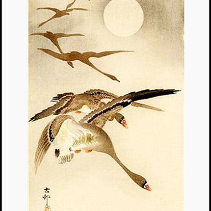 Ohara Koson - Eight-White Fronted Geese in Flight Poster