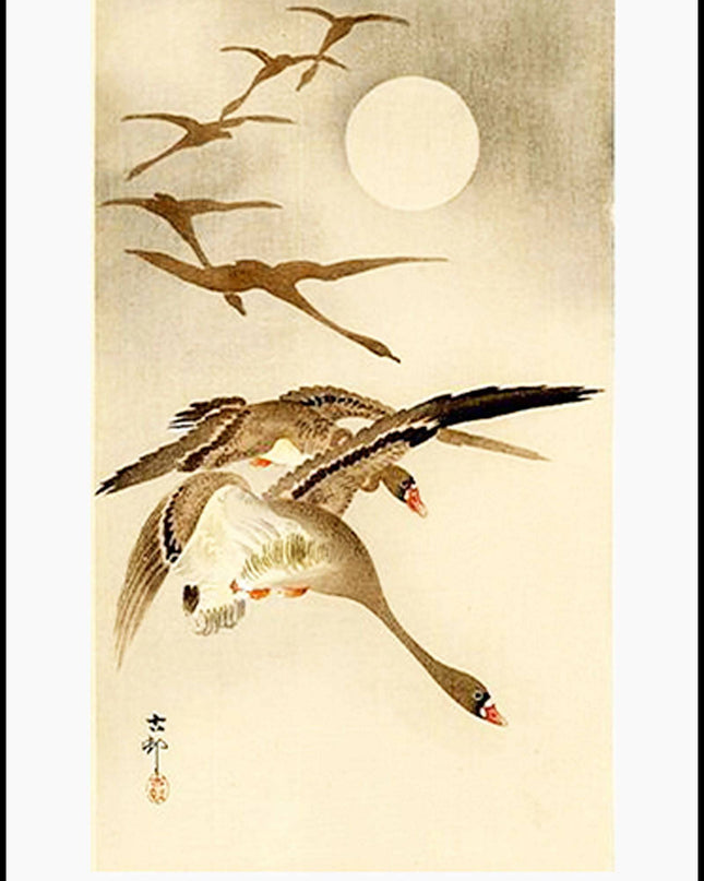 Ohara Koson - Eight-White Fronted Geese in Flight Poster