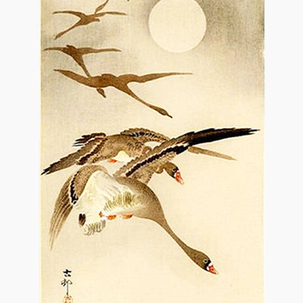 Ohara Koson - Eight-White Fronted Geese in Flight Poster