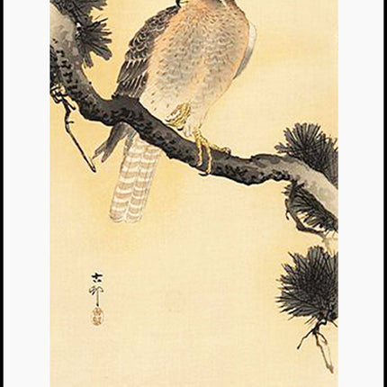 Ohara Koson - Falcon on a Branch Poster