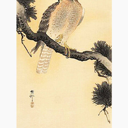 Ohara Koson - Falcon on a Branch Poster