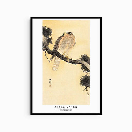 Ohara Koson - Falcon on a Branch Poster