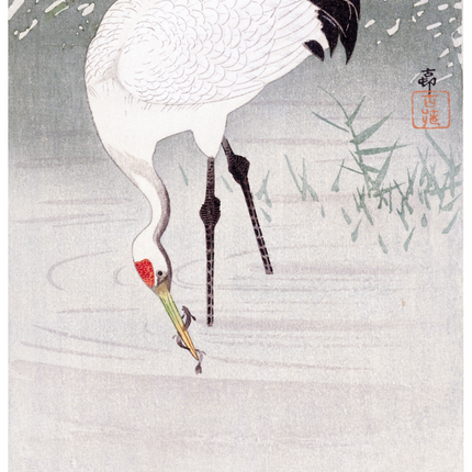Ohara Koson - Fishing Crane in Shallow Water