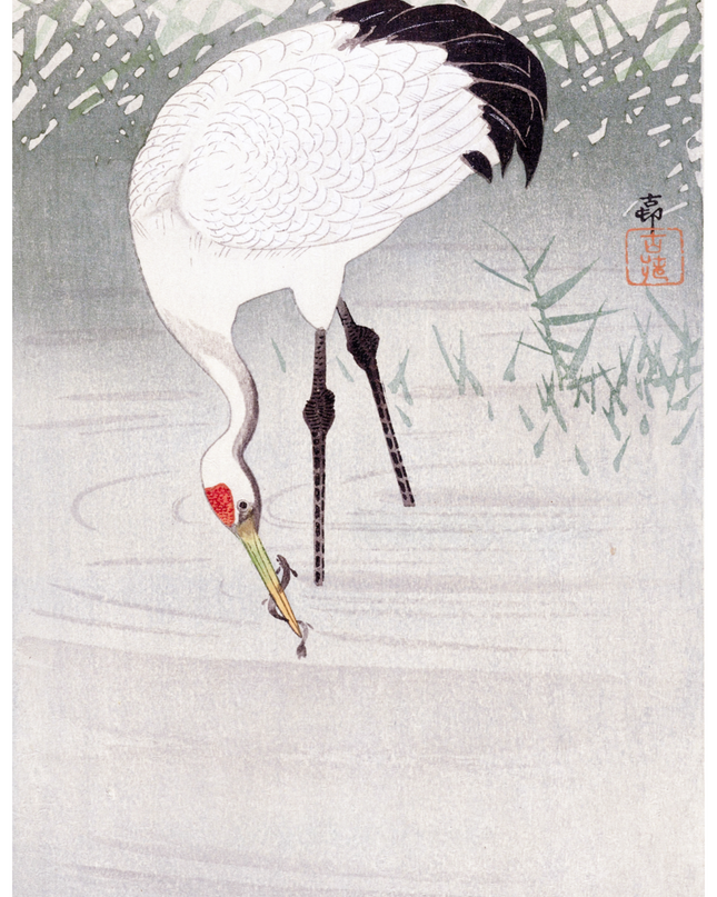 Ohara Koson - Fishing Crane in Shallow Water