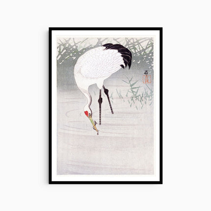 Ohara Koson - Fishing Crane in Shallow Water