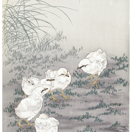 Ohara Koson - Five Chicks