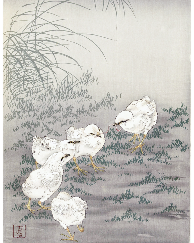 Ohara Koson - Five Chicks