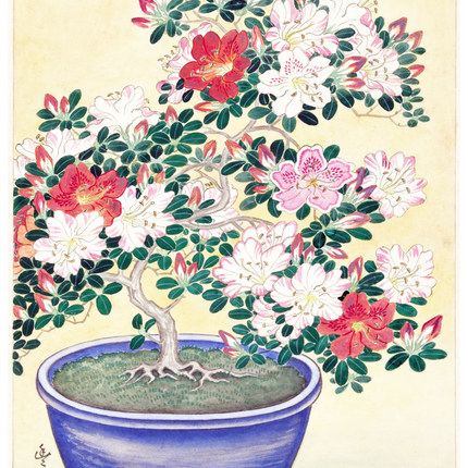 Ohara Koson - Flowering Azalea in Blue Pots