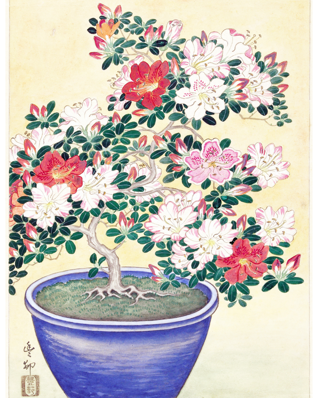 Ohara Koson - Flowering Azalea in Blue Pots