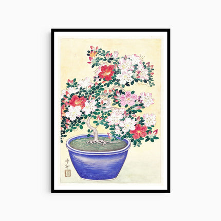 Ohara Koson - Flowering Azalea in Blue Pots