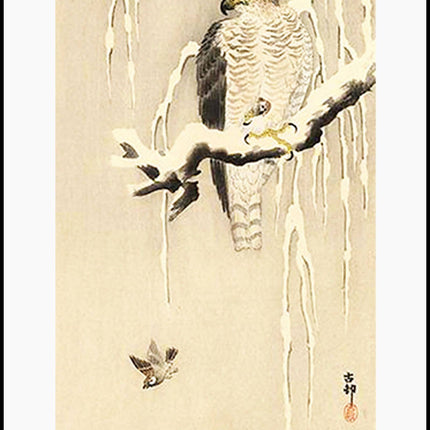 Ohara Koson - Goshawk on Snowy Branch Poster