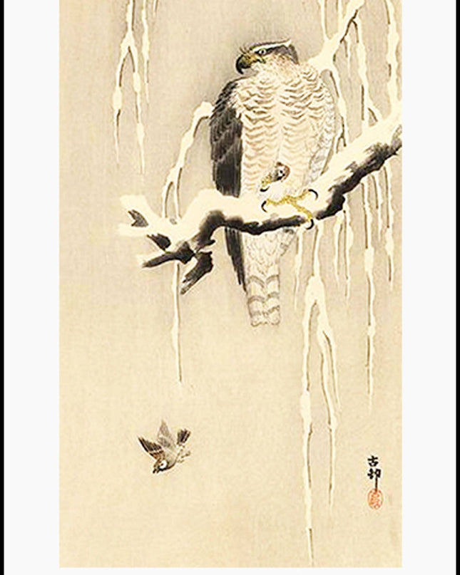 Ohara Koson - Goshawk on Snowy Branch Poster