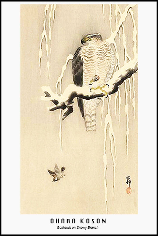 Ohara Koson - Goshawk on Snowy Branch Poster