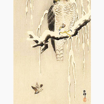 Ohara Koson - Goshawk on Snowy Branch Poster
