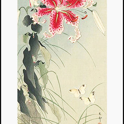 Ohara Koson - Lily and Butterflies Poster