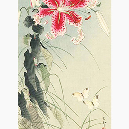 Ohara Koson - Lily and Butterflies Poster