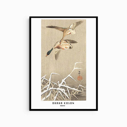 Ohara Koson - Mallards Poster