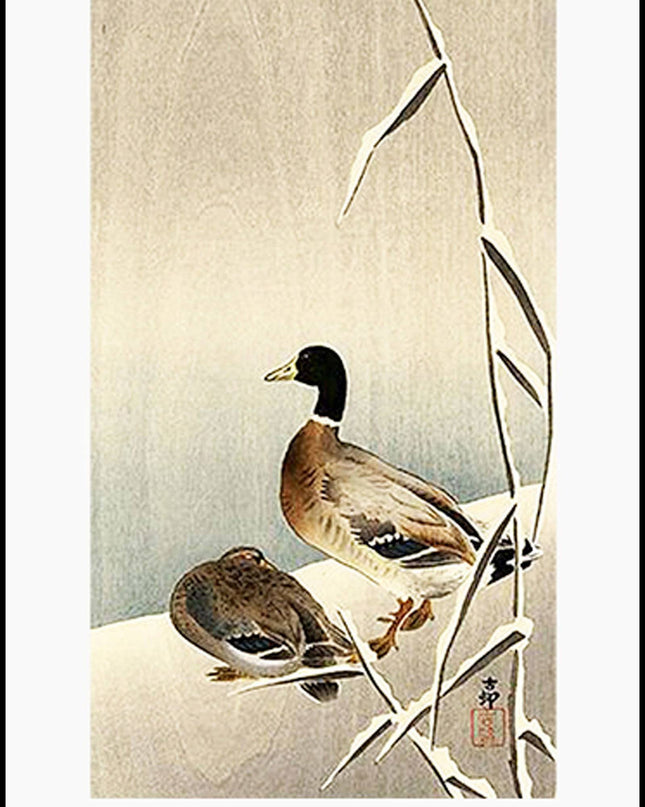Ohara Koson - Mallards in Snow Poster